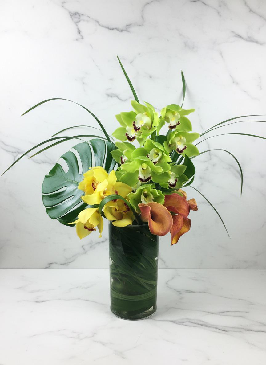 Green orchids and calla lily cylinder arrangement — Modern LUXE Flowers Chicago